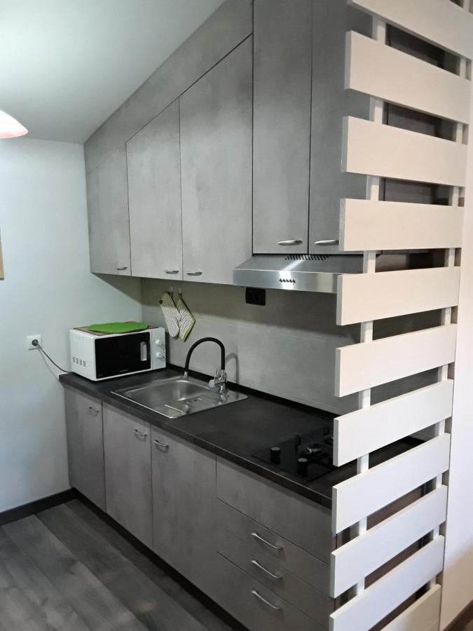 Apartman Studio Erin 罗维尼 外观 照片