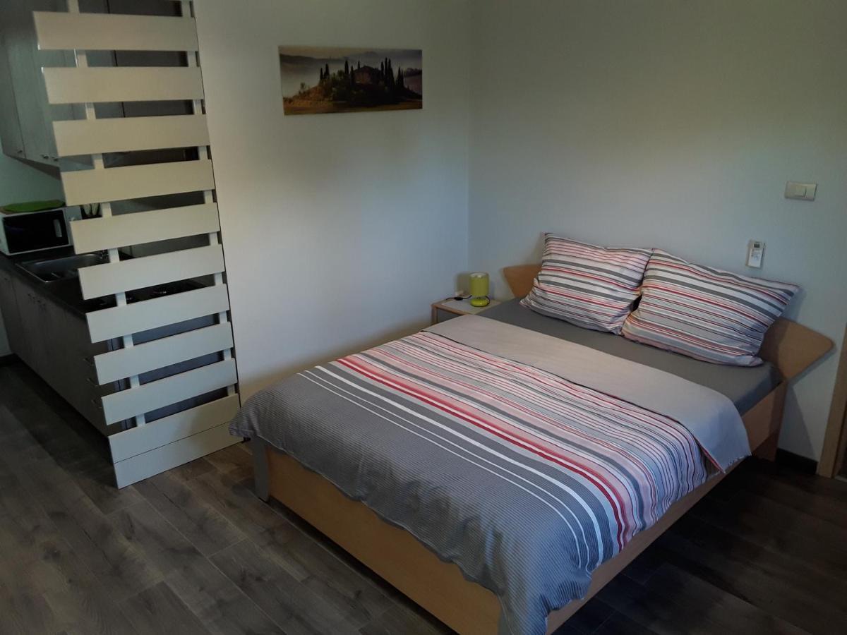 Apartman Studio Erin 罗维尼 外观 照片
